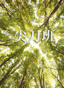 部分作品在不到一年的时间内仓促完成，导致优质IP被消耗，这种急功近利的做法不利于行业的长远发展。